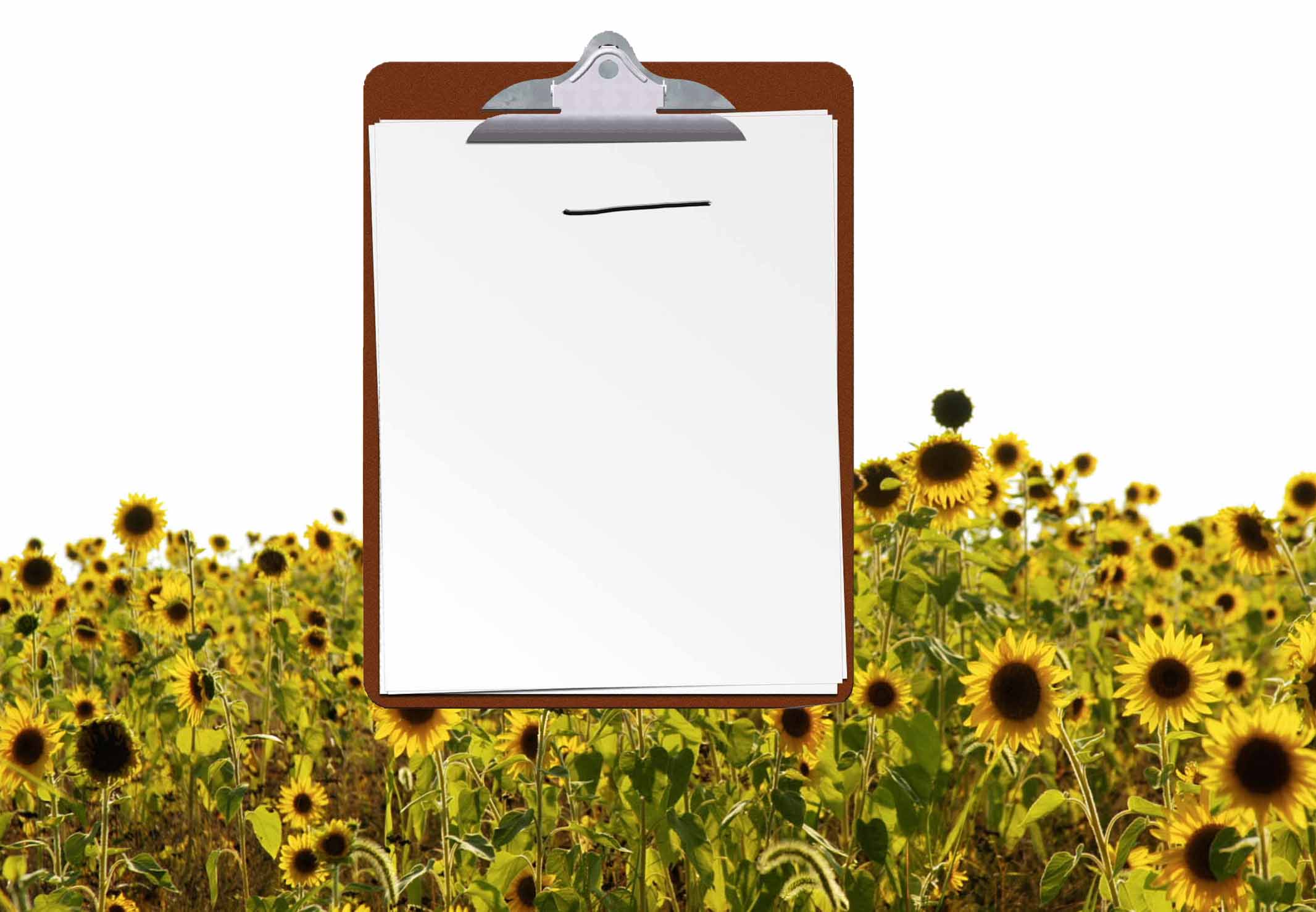 Summer work field